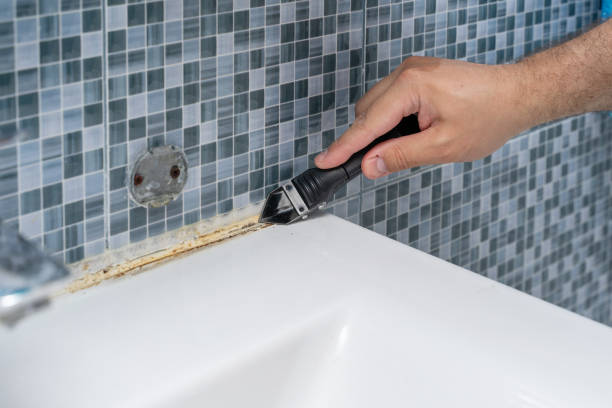 Reliable Falls City, NE Mold Removal Solutions