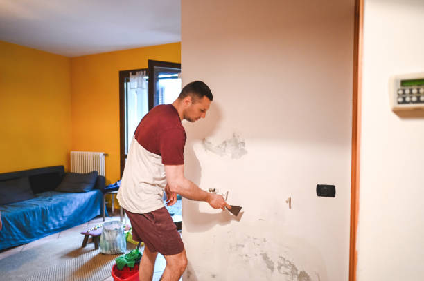 Certified Mold Removal in Falls City, NE